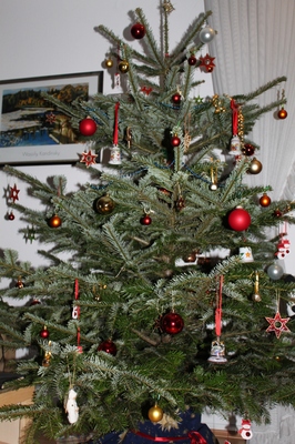 Weihnachtsbaum